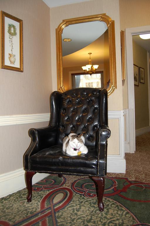 וושינגטון Windsor Inn Hotel מראה חיצוני תמונה